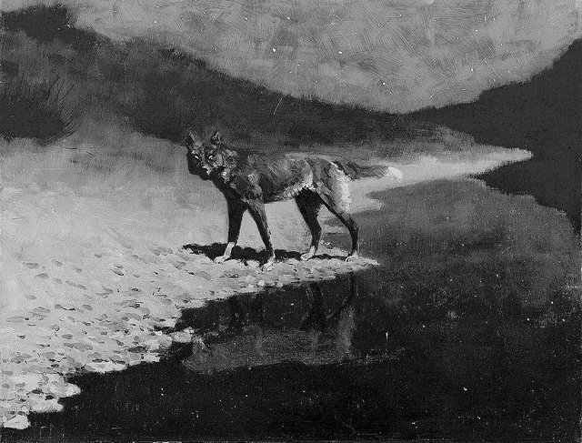 Moonlight, Wolf  des amerikanischen Malers Frederic Remington, ca. 1909