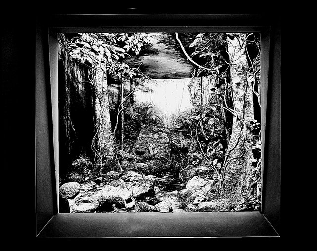 Dominique Gonzalez-Foerster, Chronotypes & Dioramas (Tropical)