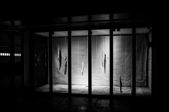 João Freitas, Traces in suspension