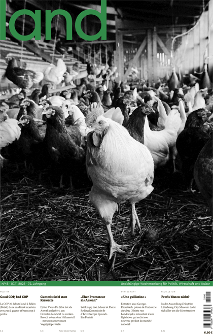 d'Lëtzebuerger Land 07.11.2025